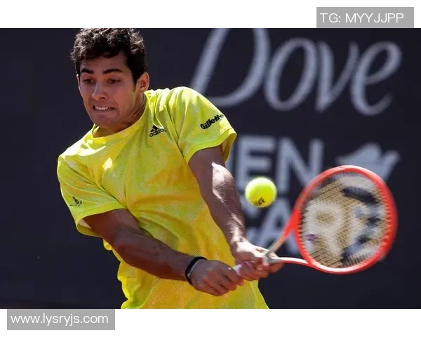 加林足球传奇:那些闪耀绿茵场的加林明星们 加林足球传奇:那些闪耀绿茵场的加林明星们