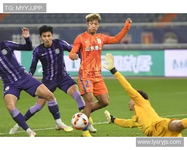 关于足球声明的最新进展与未来发展方向的深入分析与探讨