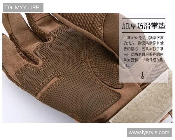 攀岩新手必看：从基础到进阶的全方位战术入门指南