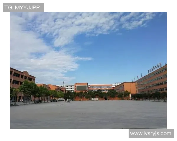 老人在绿茵场边的欢笑与泪水足球带给他们的青春回忆与情感共鸣